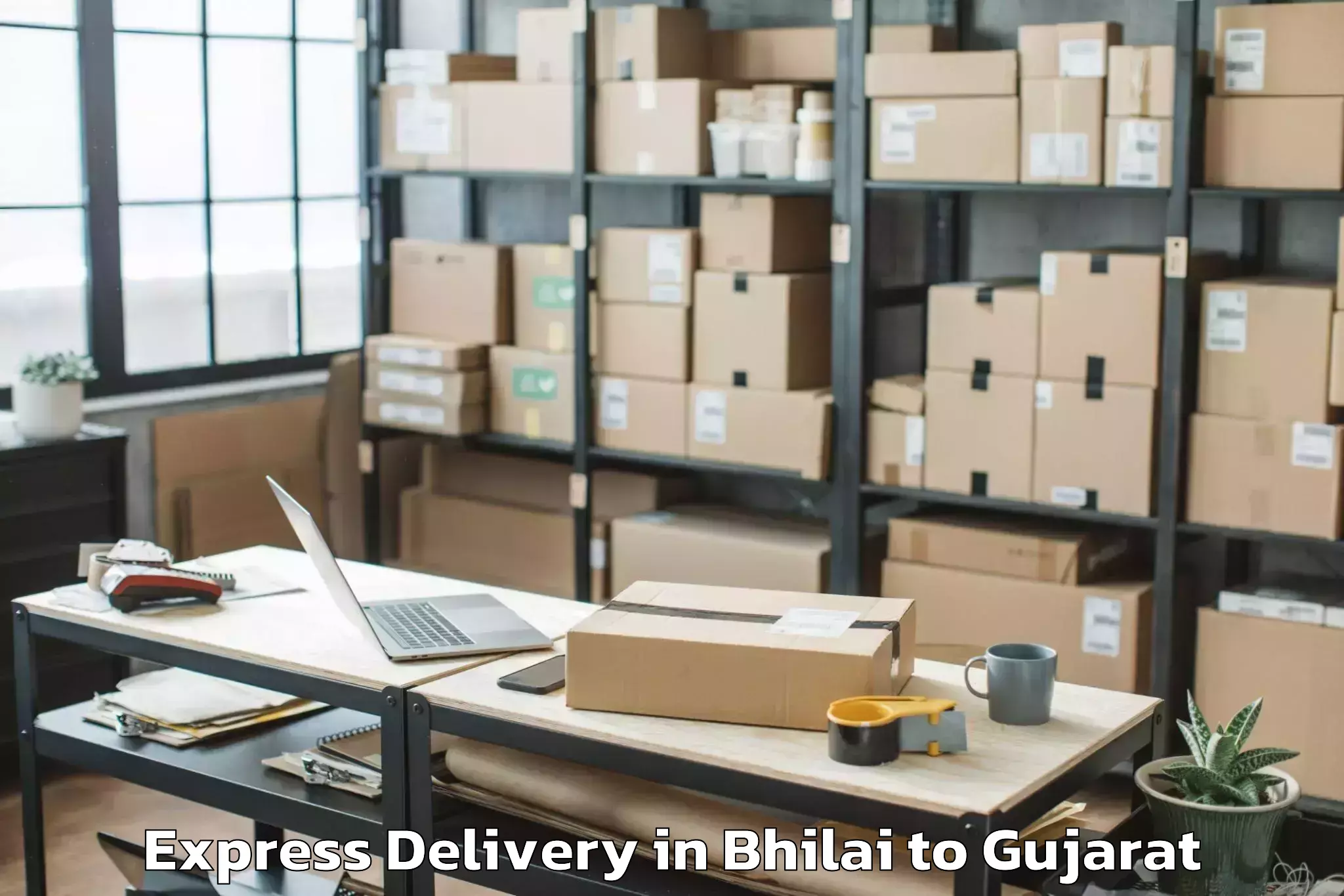 Bhilai to Netrang Express Delivery Booking